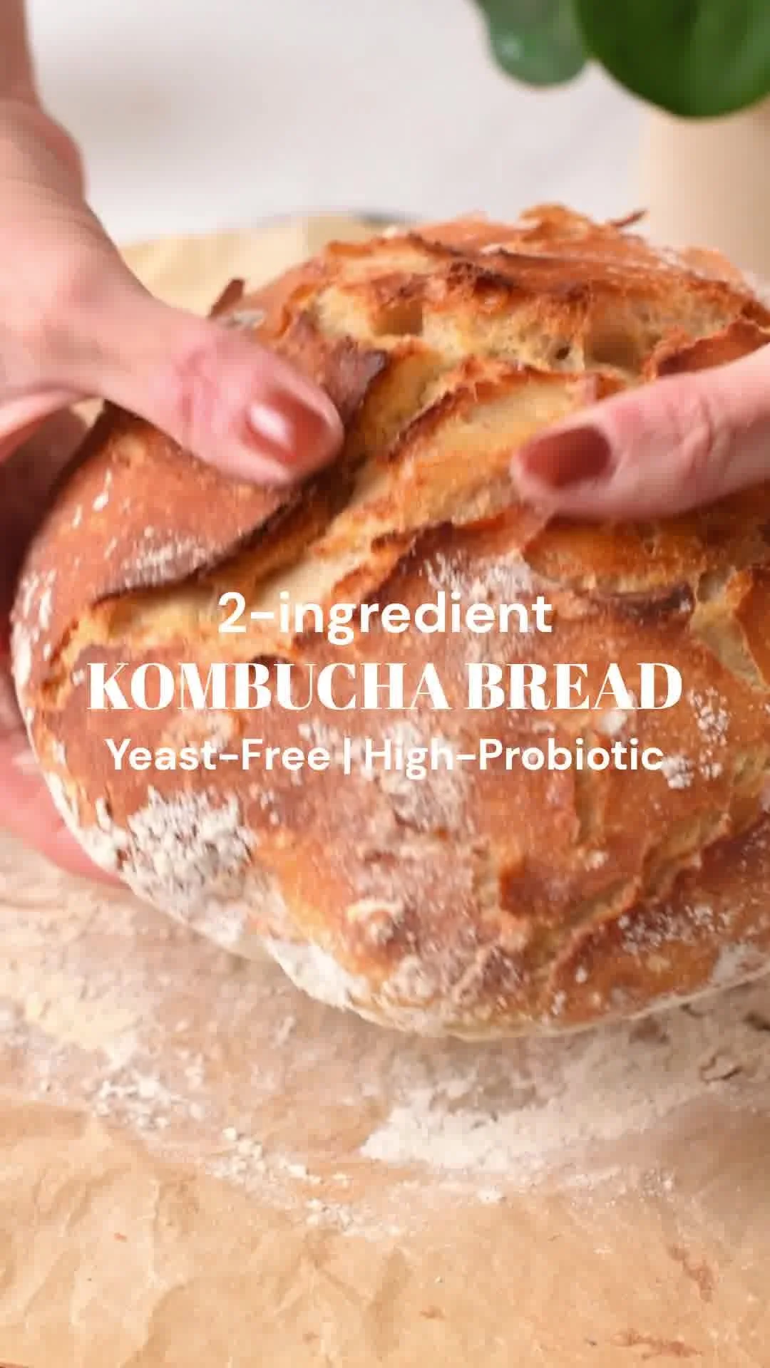 2-Ingredient No-Knead Artisan Bread