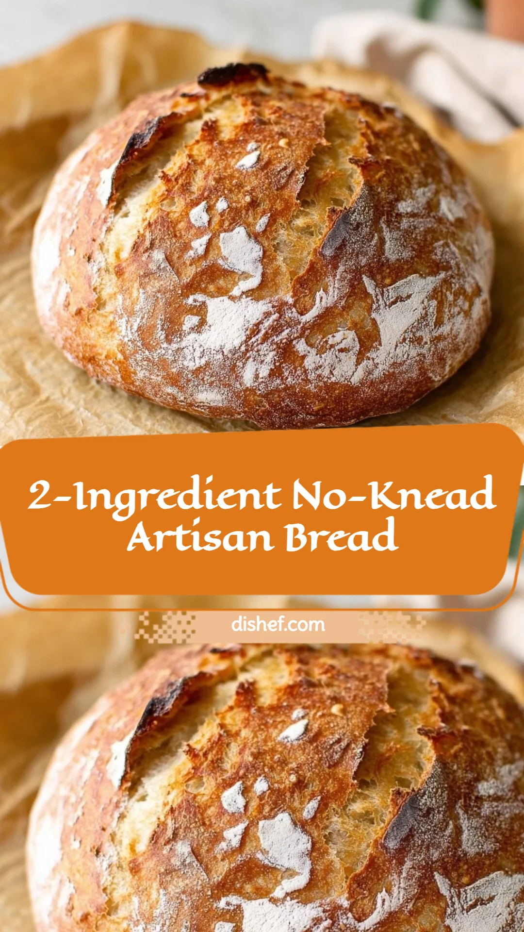 2-Ingredient No-Knead Artisan Bread