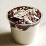 Bowl of Protein Ice Cream Bounty topped with chocolate and coconut flakes